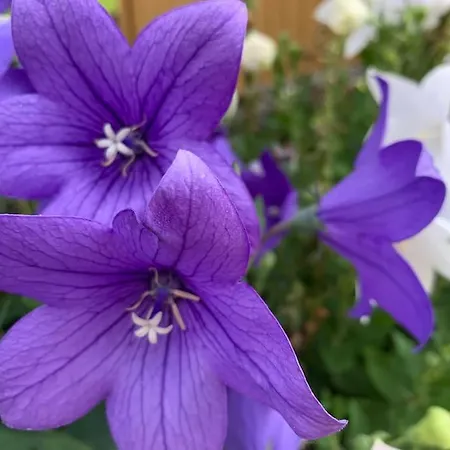 Auszeit 2 0 Digital Detox *