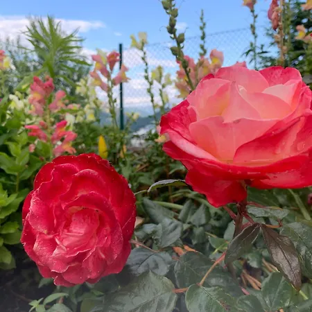 Auszeit 2 0 Digital Detox Сasa de vacaciones *