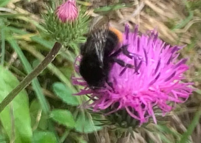 Auszeit 2 0 Digital Detox * Obergrünburg