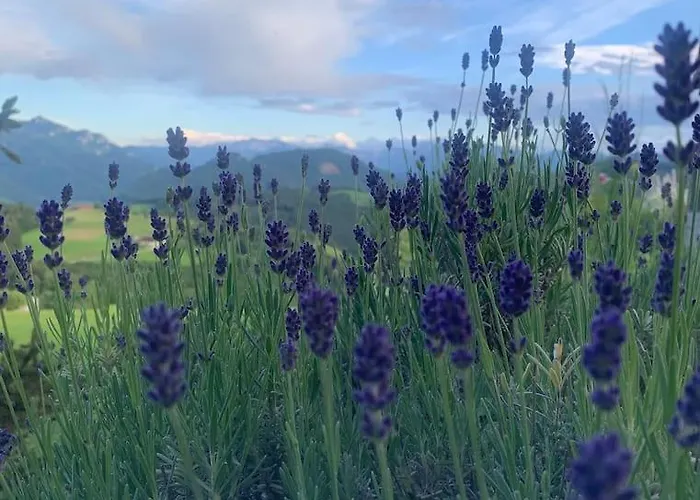 Auszeit 2 0 Digital Detox