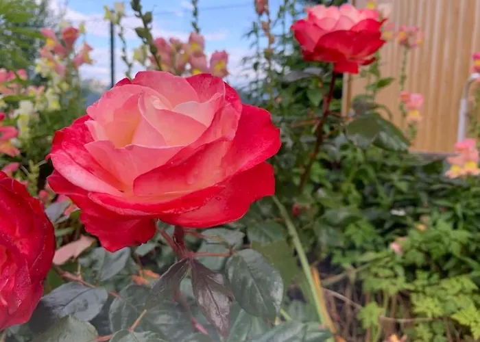 Auszeit 2 0 Digital Detox Obergrünburg