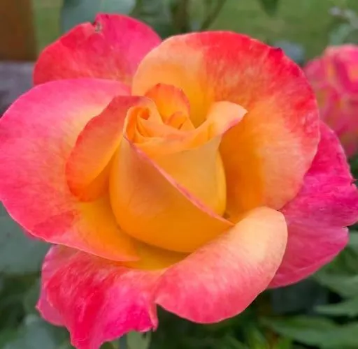 Auszeit 2 0 Digital Detox Obergrünburg