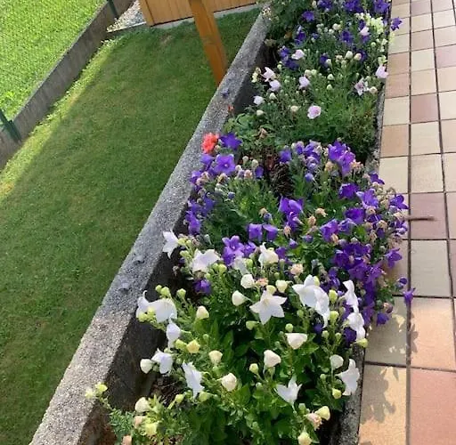 Auszeit 2 0 Digital Detox Tatil Evi *