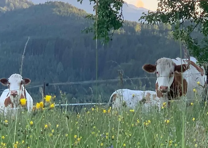 Auszeit 2 0 Digital Detox Tatil Evi *