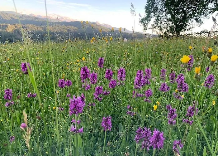 Auszeit 2 0 Digital Detox Tatil Evi Obergrünburg