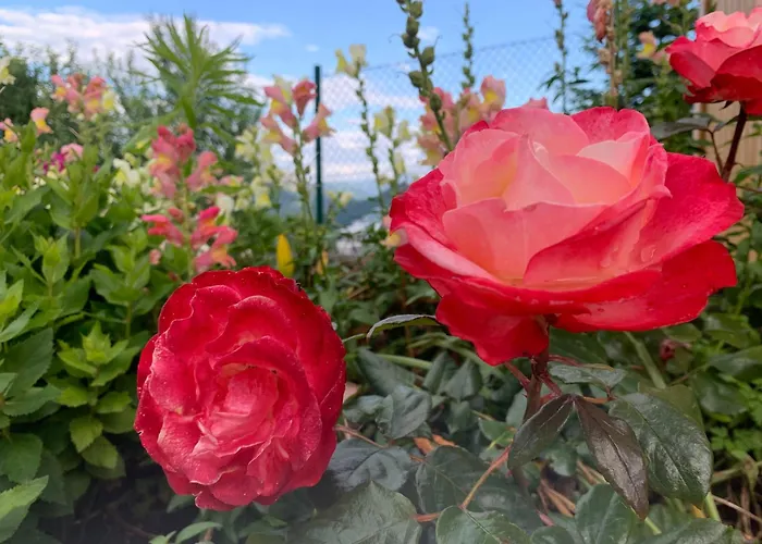 Auszeit 2 0 Digital Detox Tatil Evi *