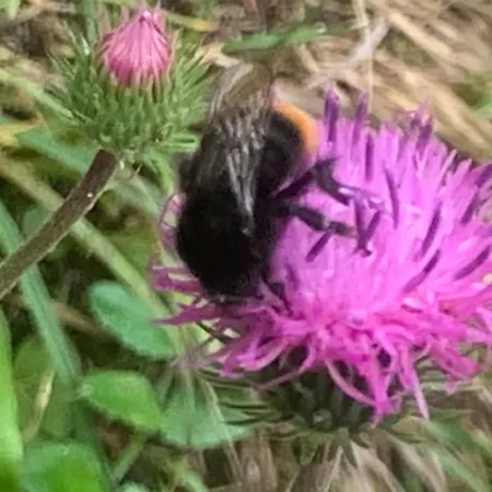 Auszeit 2 0 Digital Detox * Obergrünburg