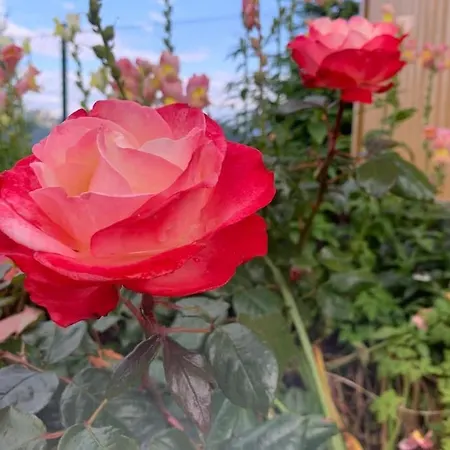 Auszeit 2 0 Digital Detox Obergrünburg