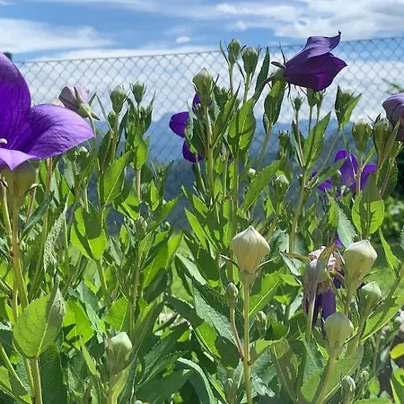 度假居 Auszeit 2 0 Digital Detox