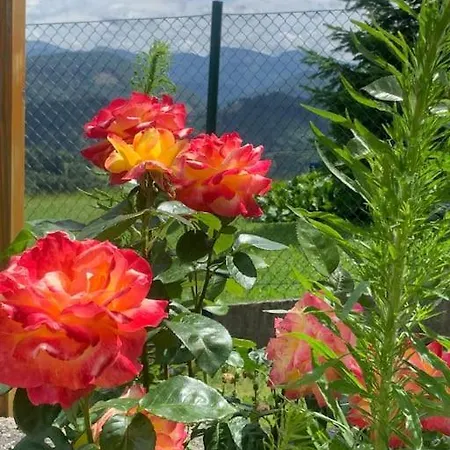 Auszeit 2 0 Digital Detox 度假居 *