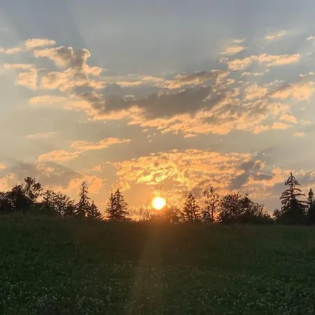 度假居 Auszeit 2 0 Digital Detox Obergrünburg