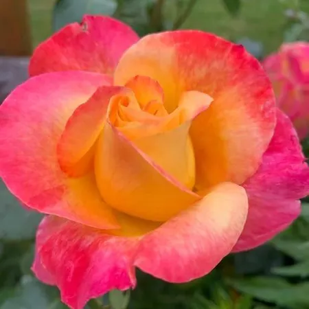 Auszeit 2 0 Digital Detox Obergrünburg