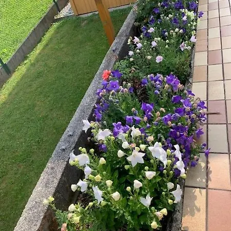 Auszeit 2 0 Digital Detox 度假居 *