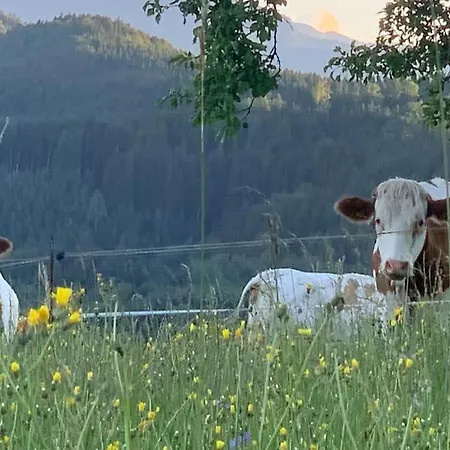 Auszeit 2 0 Digital Detox 度假居 *