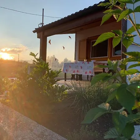 Auszeit 2 0 Digital Detox 度假居 Obergrünburg