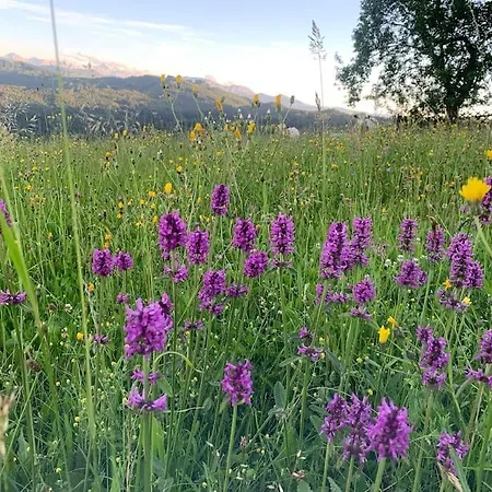 Auszeit 2 0 Digital Detox 度假居 Obergrünburg