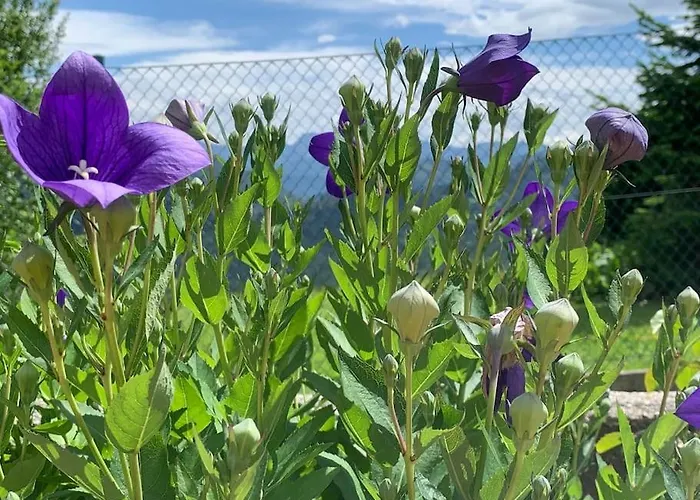 Holiday home Auszeit 2 0 Digital Detox