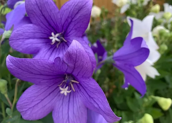 Auszeit 2 0 Digital Detox *